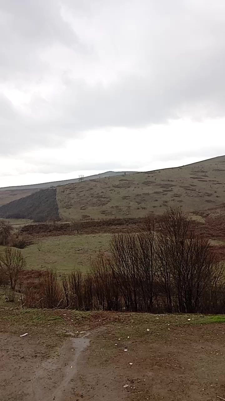 @ÖZ_DÜNYAM
