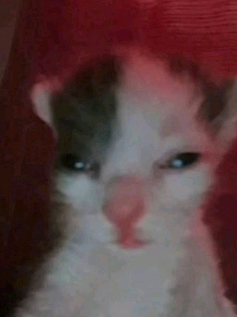 @I'ML0SER