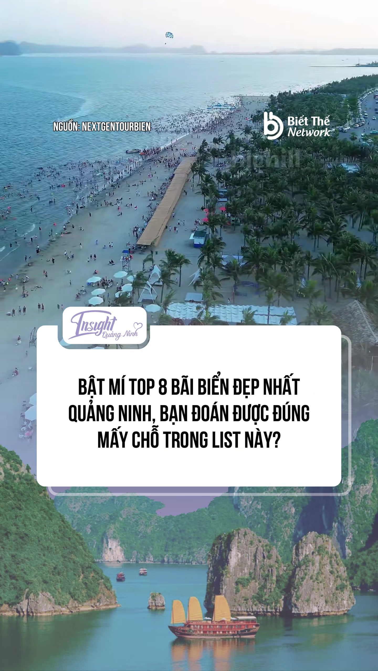 @Insight Quảng Ninh