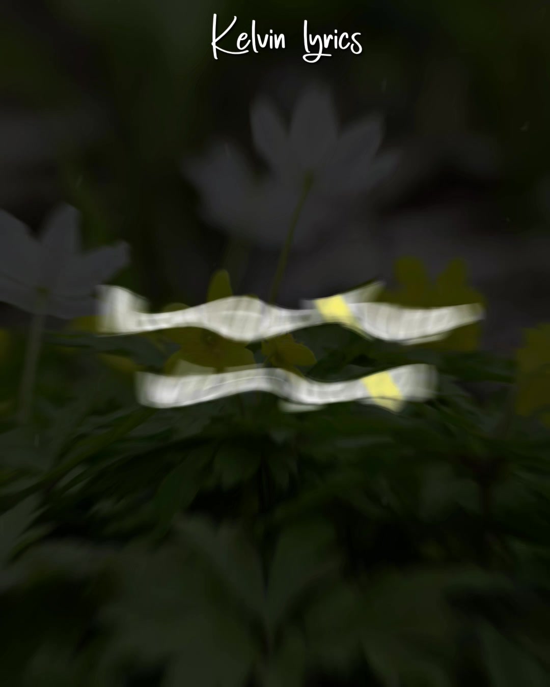 @𝐊𝐈𝐍𝐆 𝐎𝐅 𝐋𝐘𝐑𝐈𝐂𝐒