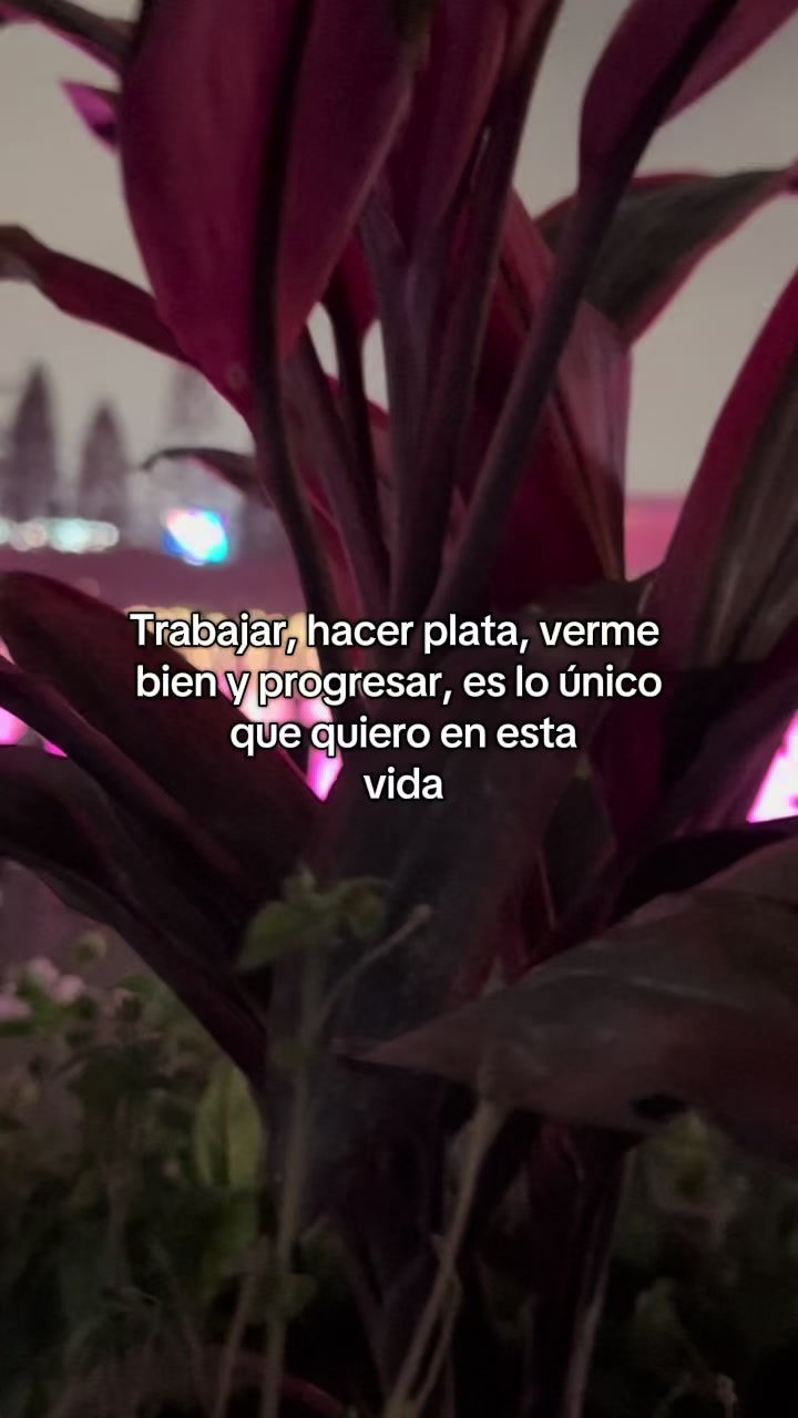 @😇🦅Cesar_Oficial🦅