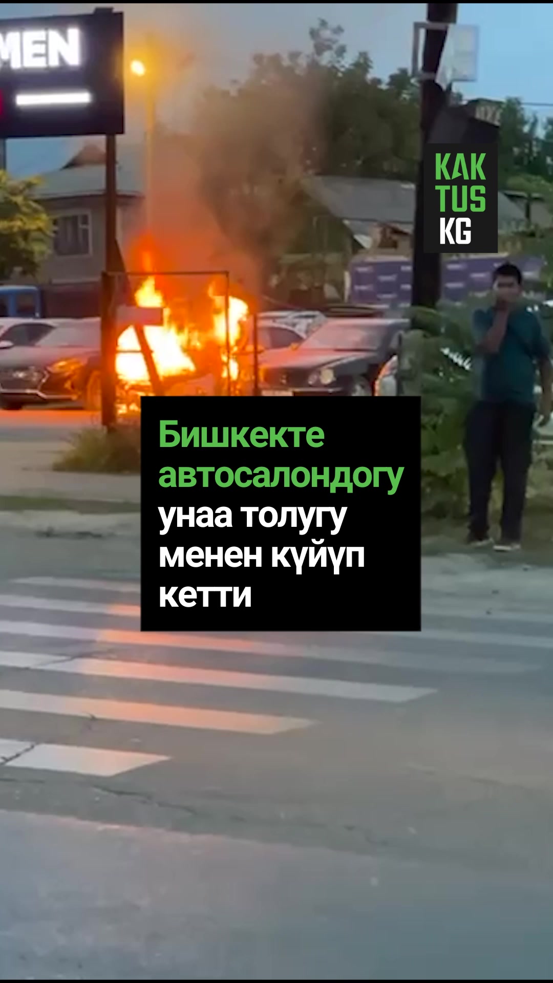 @Kaktus KG
