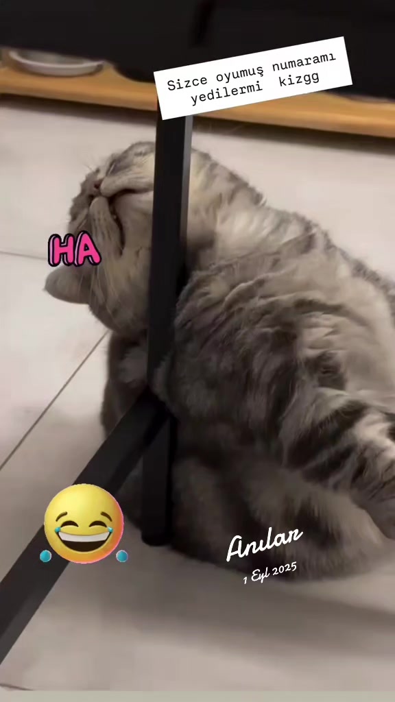 @gamzeli kızı 😊 minnoşlari