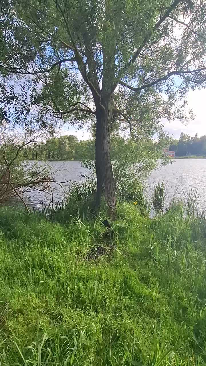 @k&auml;sebrot <3