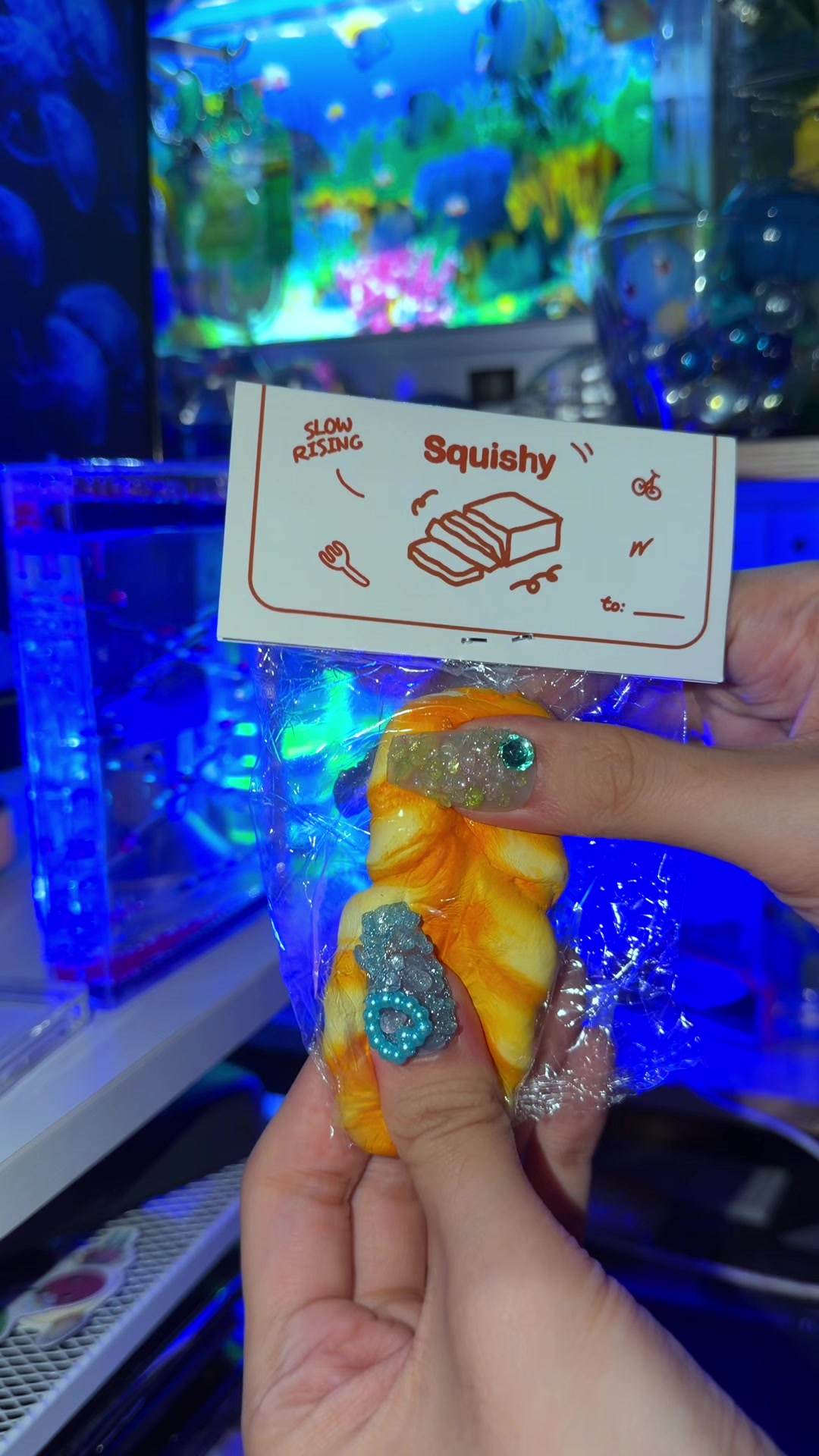 @aqua cat ๐๐ชผ