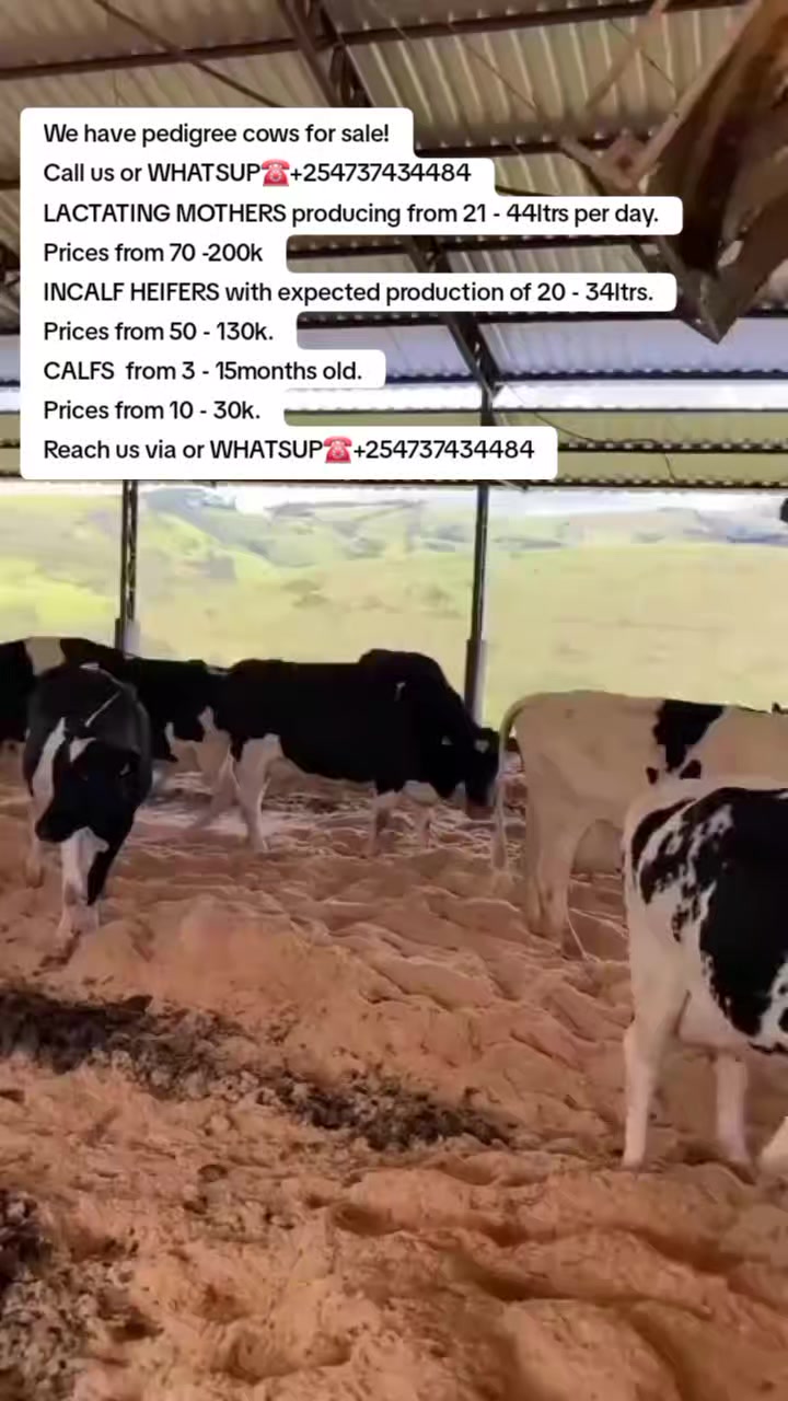 @KENYA FARM NAIVASH 0737434484