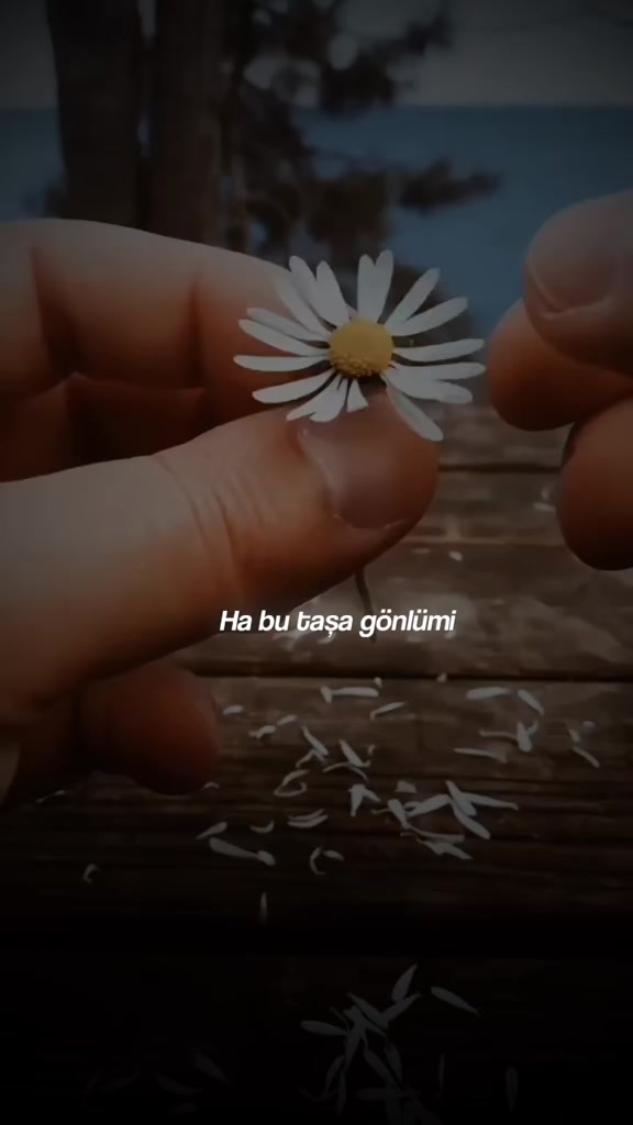 @𝓗♫