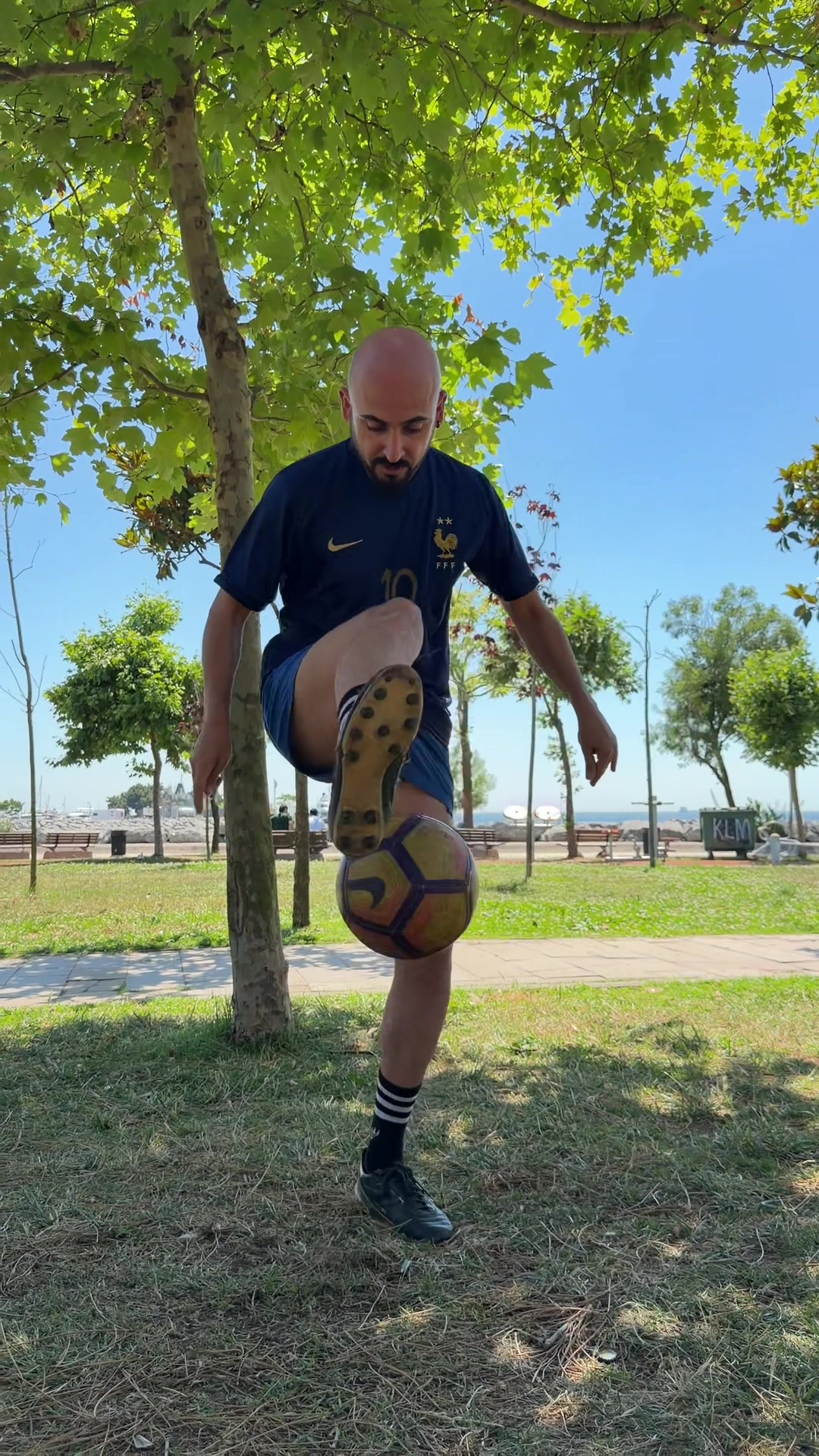 @araskarafil