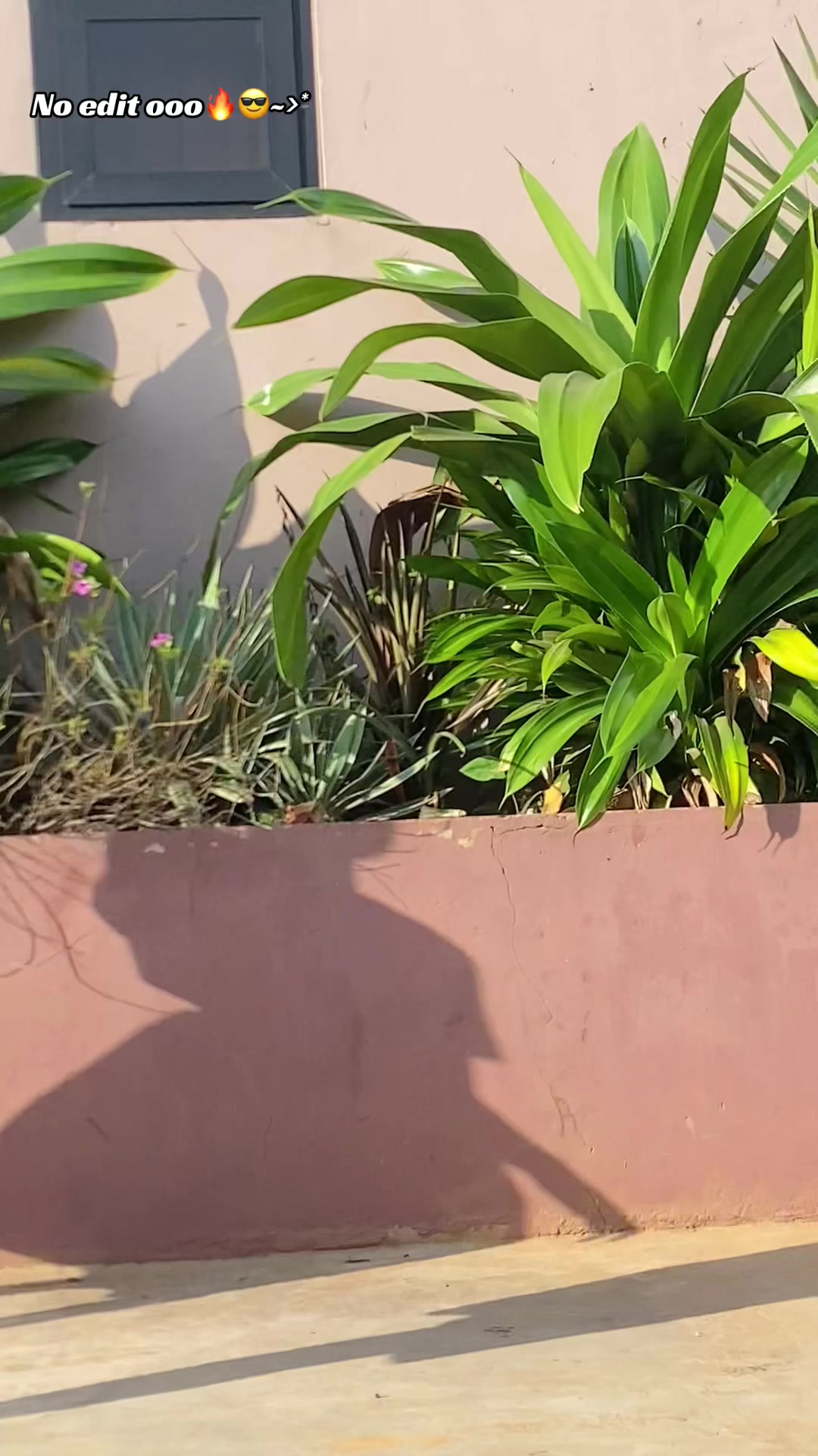 @🔱ĨNÇŘẼÐÏBŁĘ⚜️ŘÏĶÏ🕺♻️