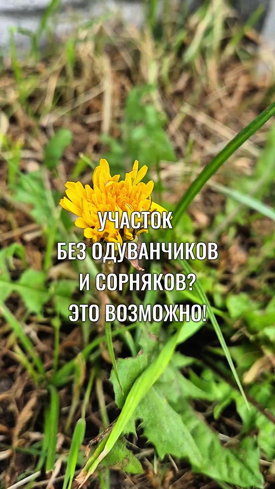 @nasenneby
