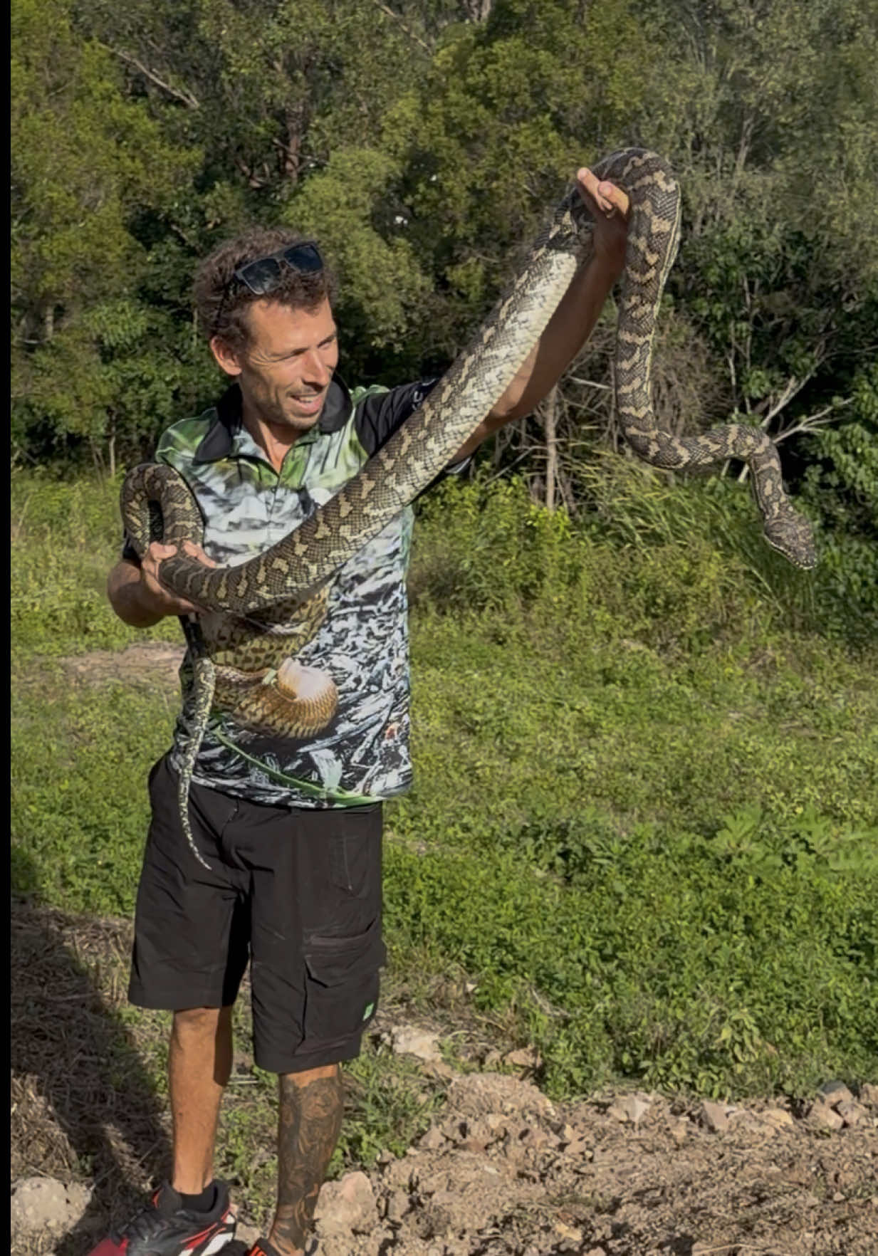 @Snake Catcher Dan