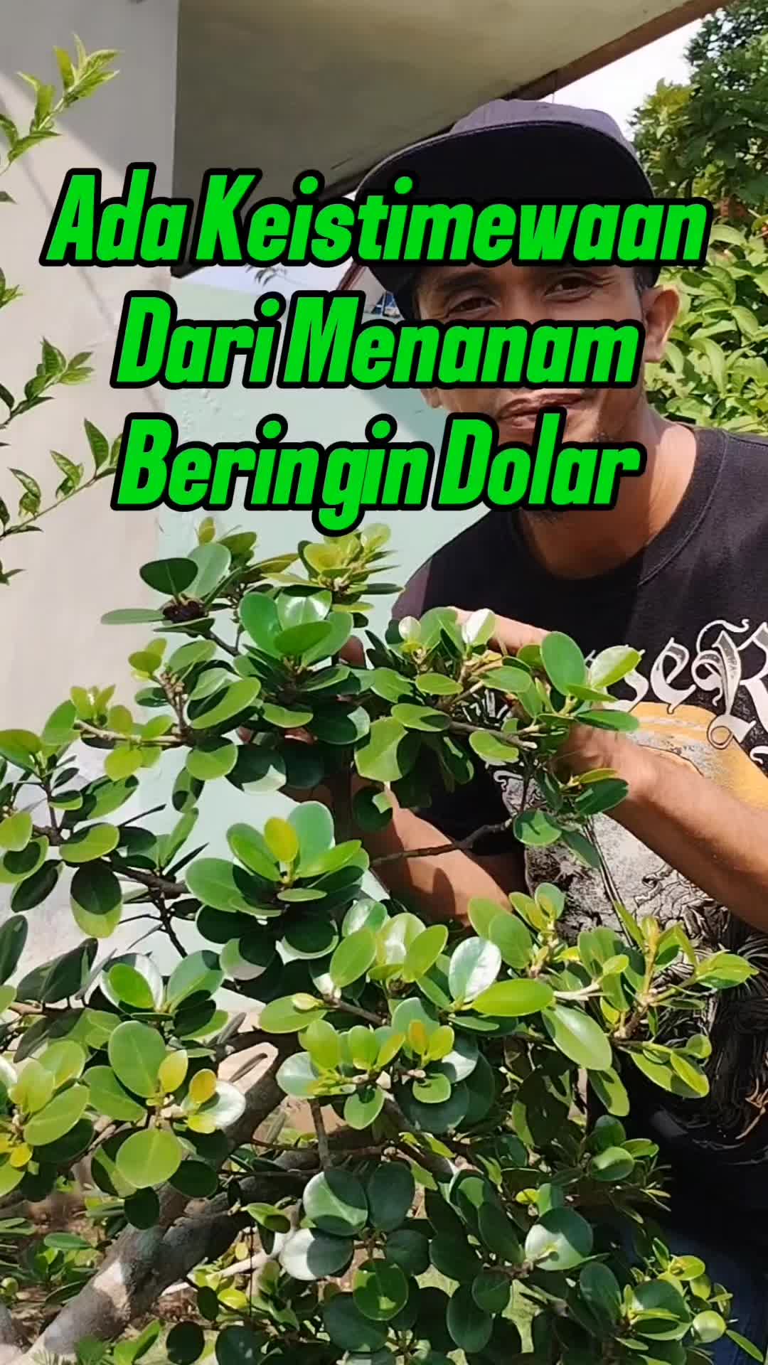 @Bukit Farming