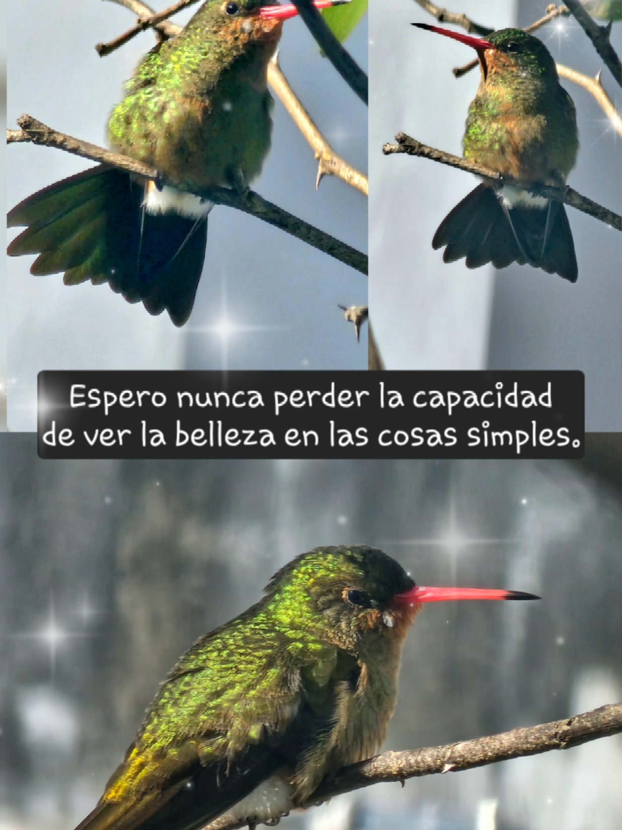 @Martucha