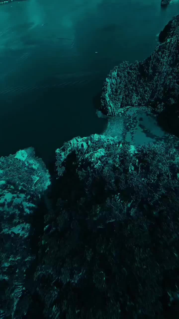 @𝟐𝟔𝟕𝐌𝐮𝐬𝐢𝐜
