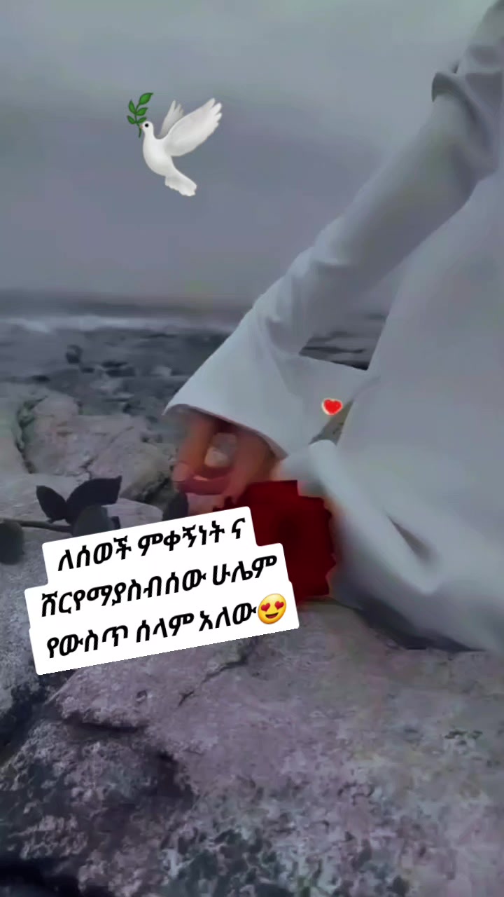 @AMiNA🕊
