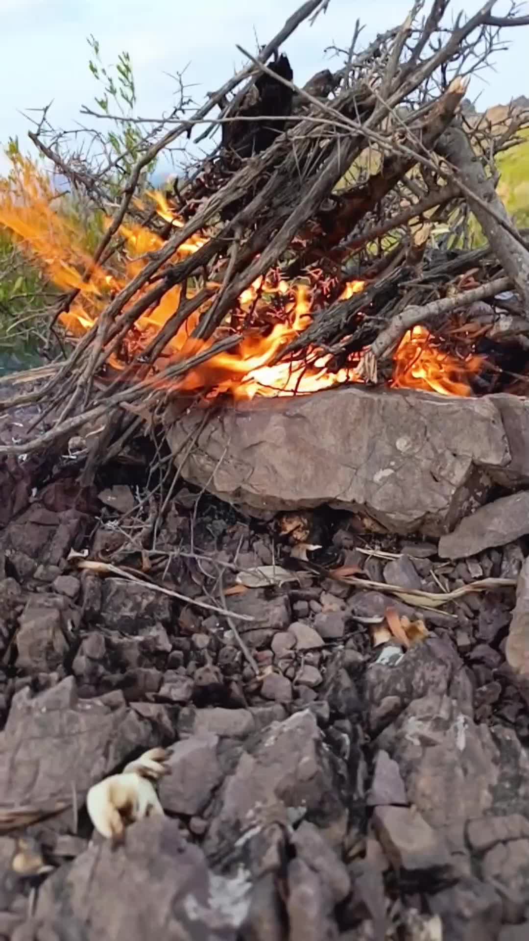 @عمر آفریدی