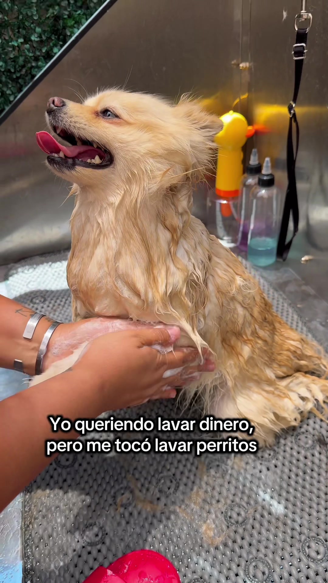 @KZ