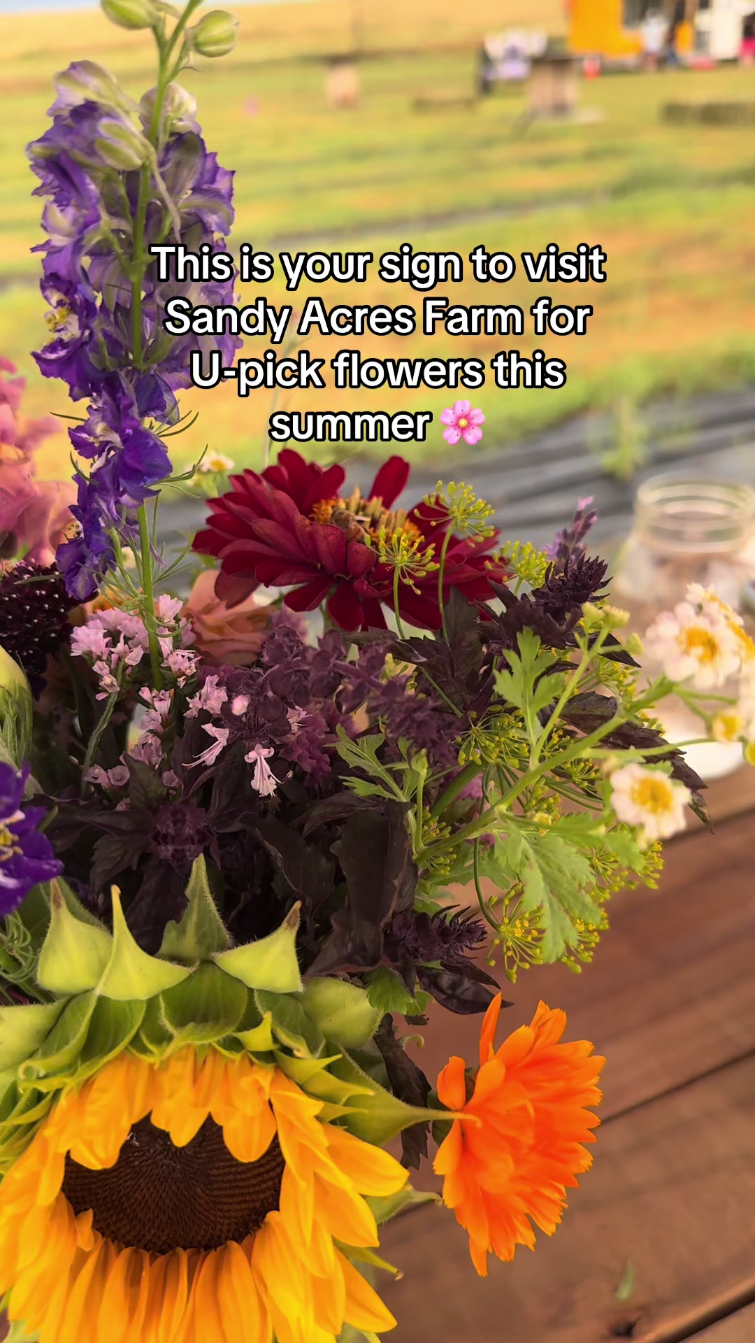 @Sandy Acres Farm