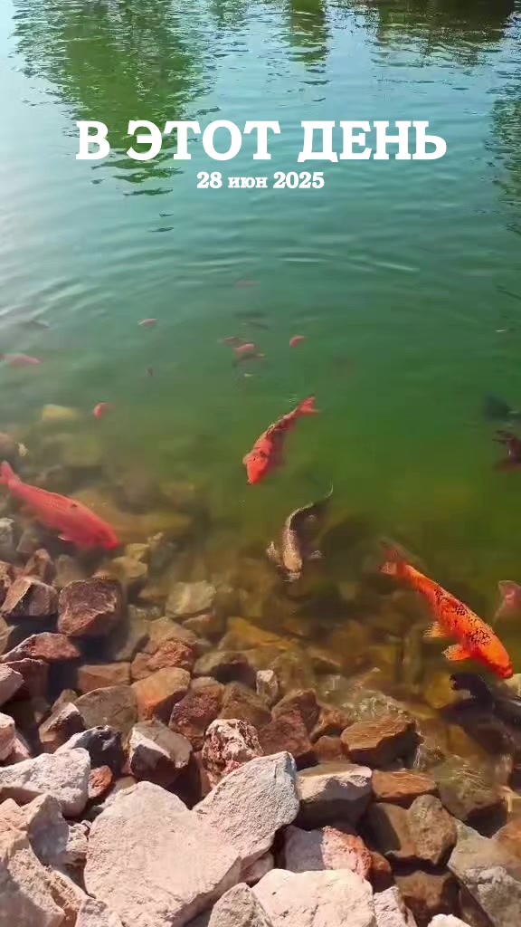@КРЫМЧАЙНИК ✌️