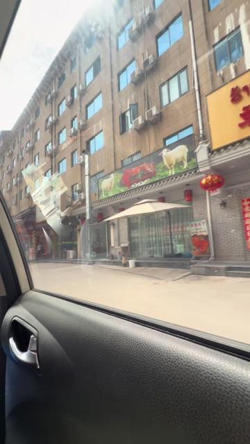 @燕🌱