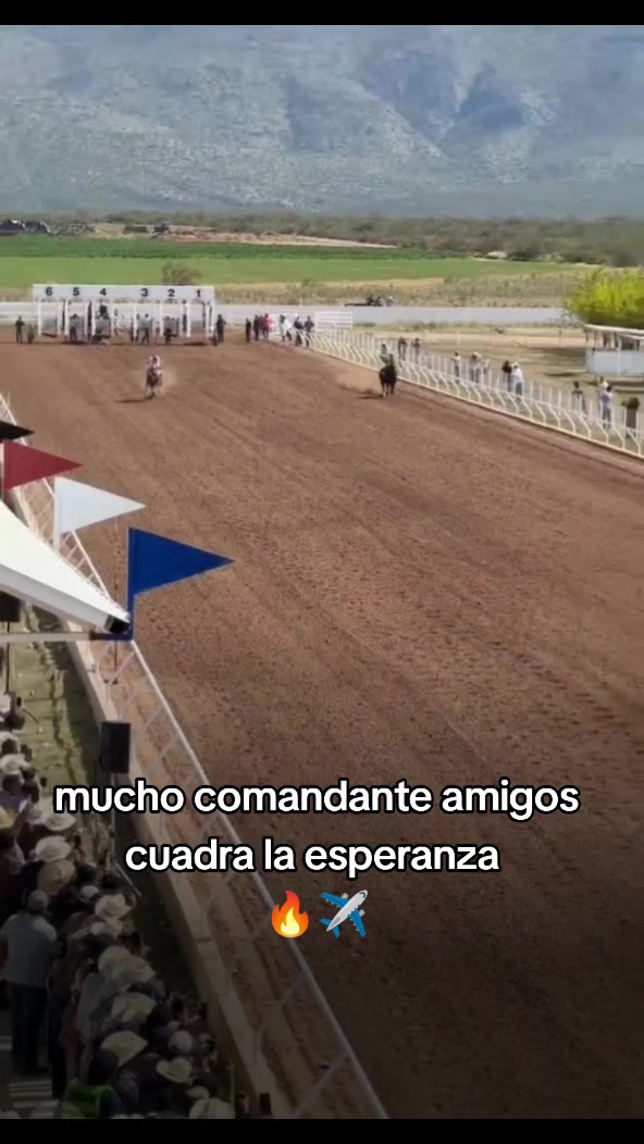 @carriles altos de jalisco🐎