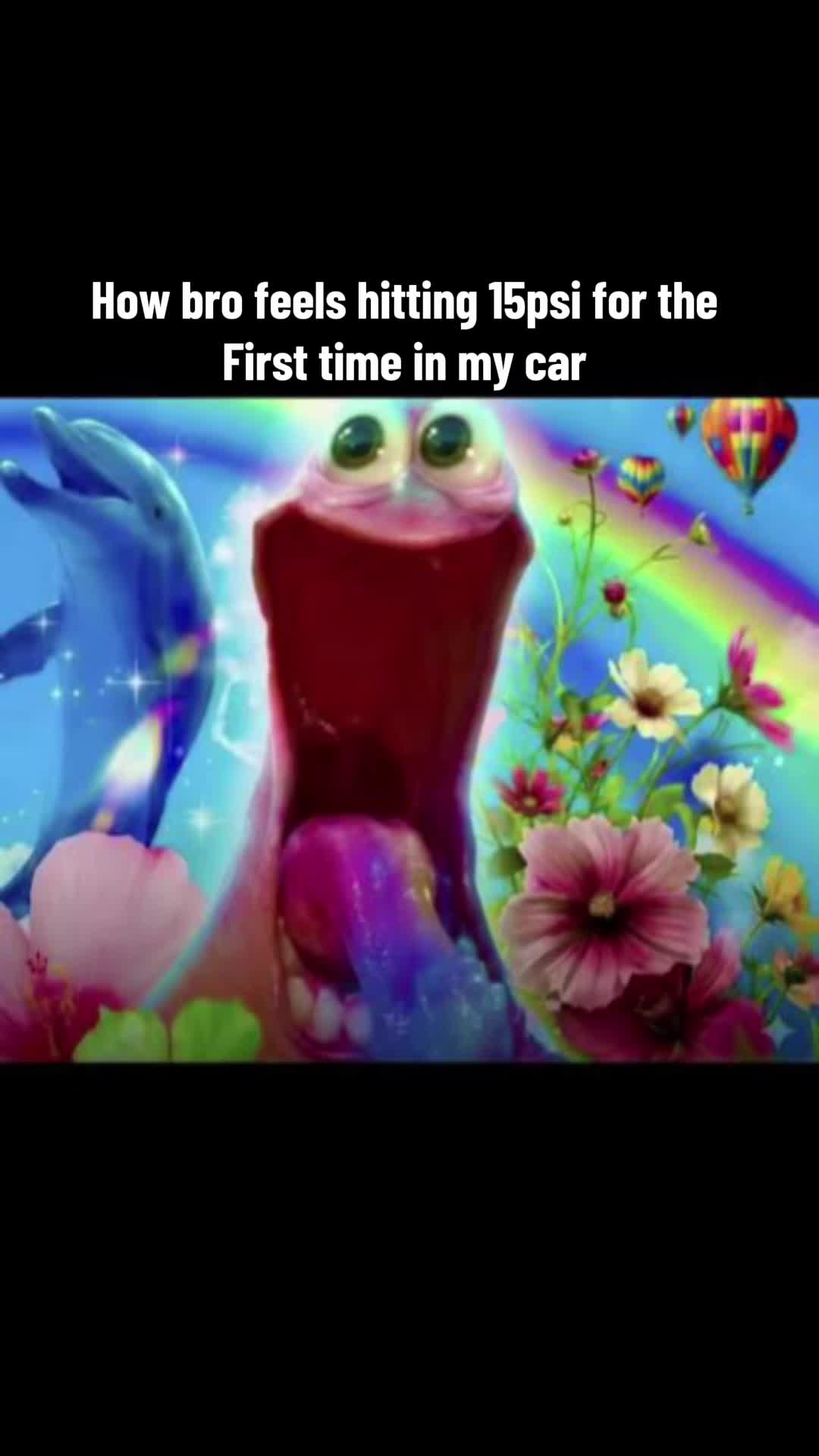 @05_rexy