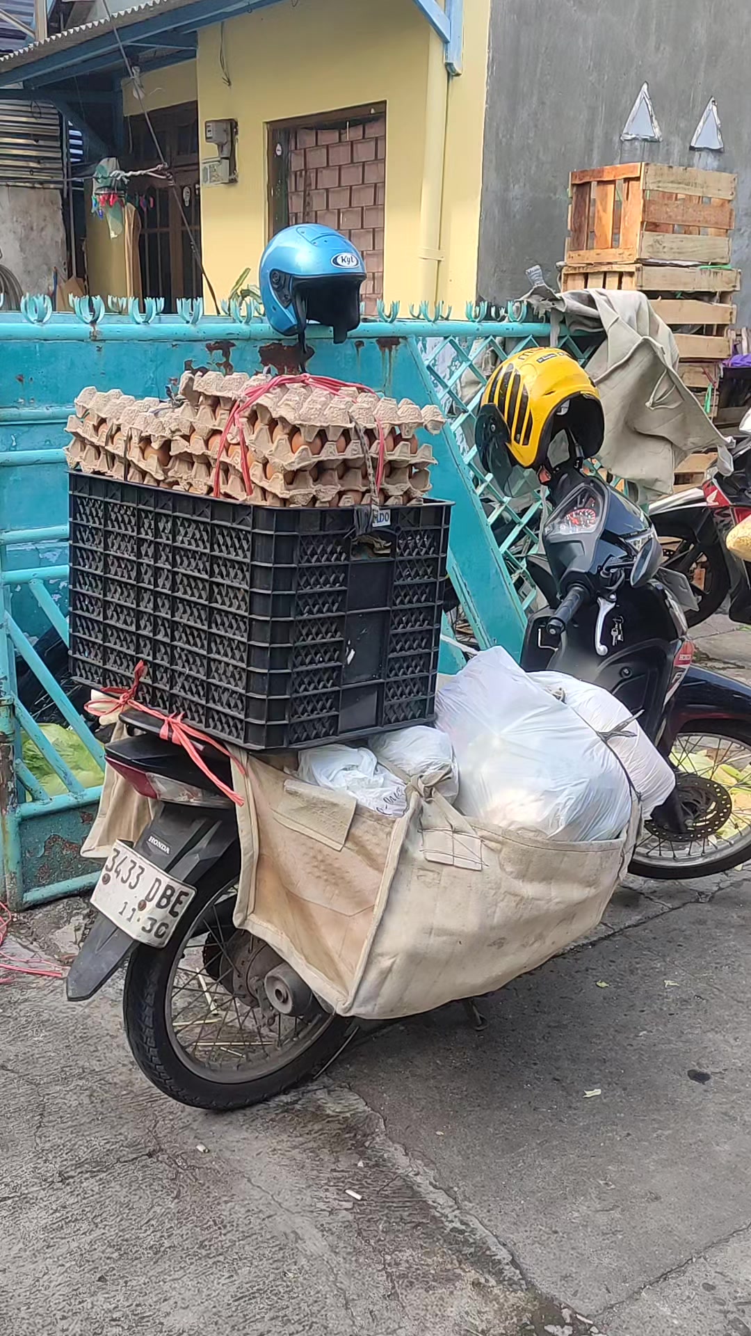 @supplier sayur dan buah sby