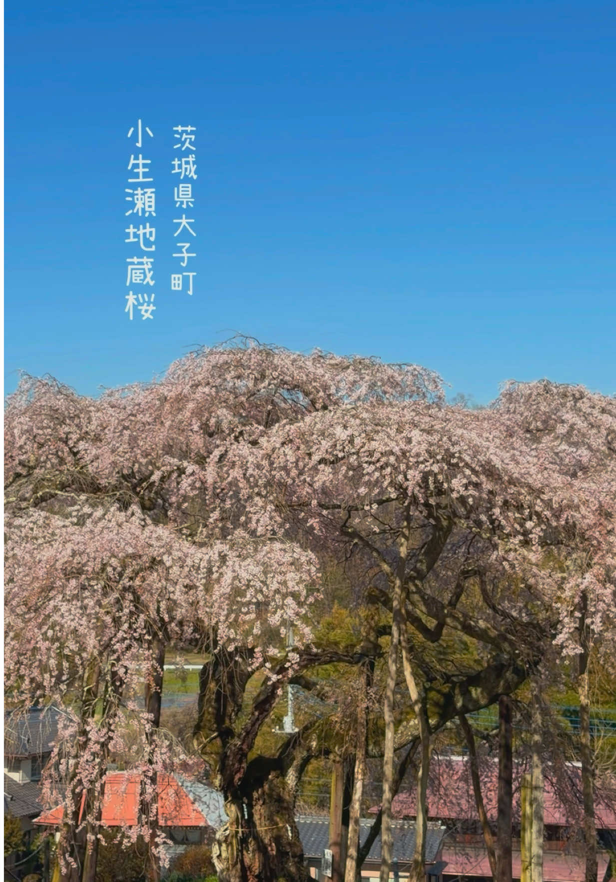 @けん/茨城の絶景