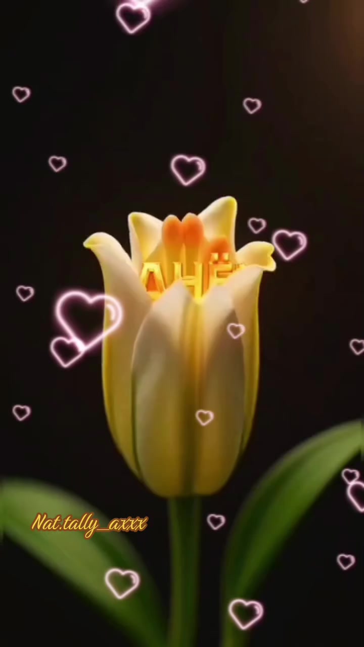 @💚Nat.tally_axxx💚