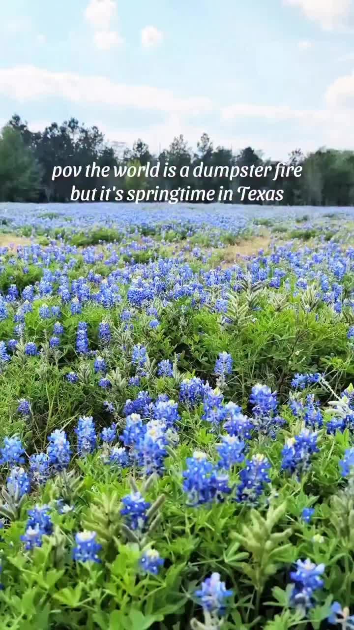 @BeachWavesTX