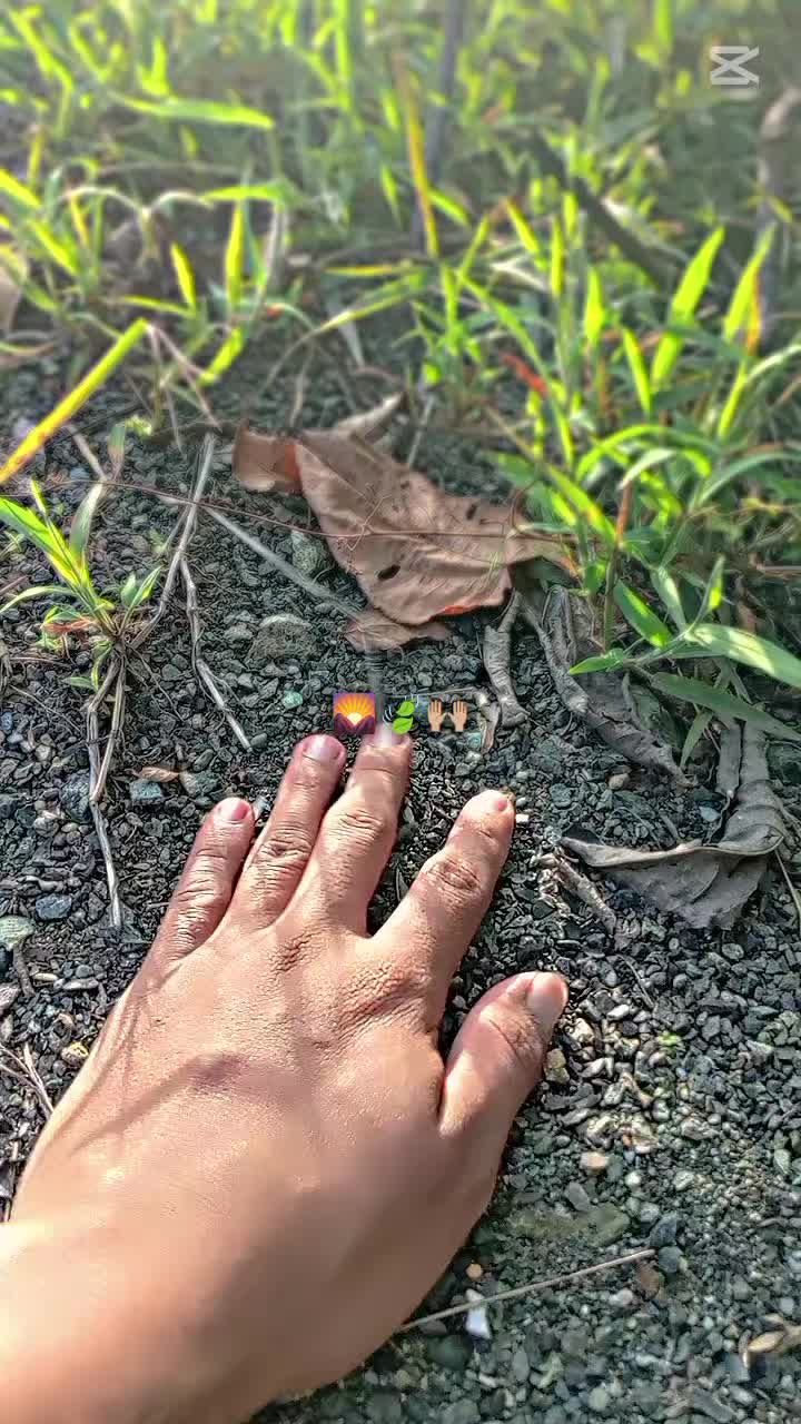 @๐ฆ๐ฒ๐ท๐ท๐๐๐ธ๏ธ