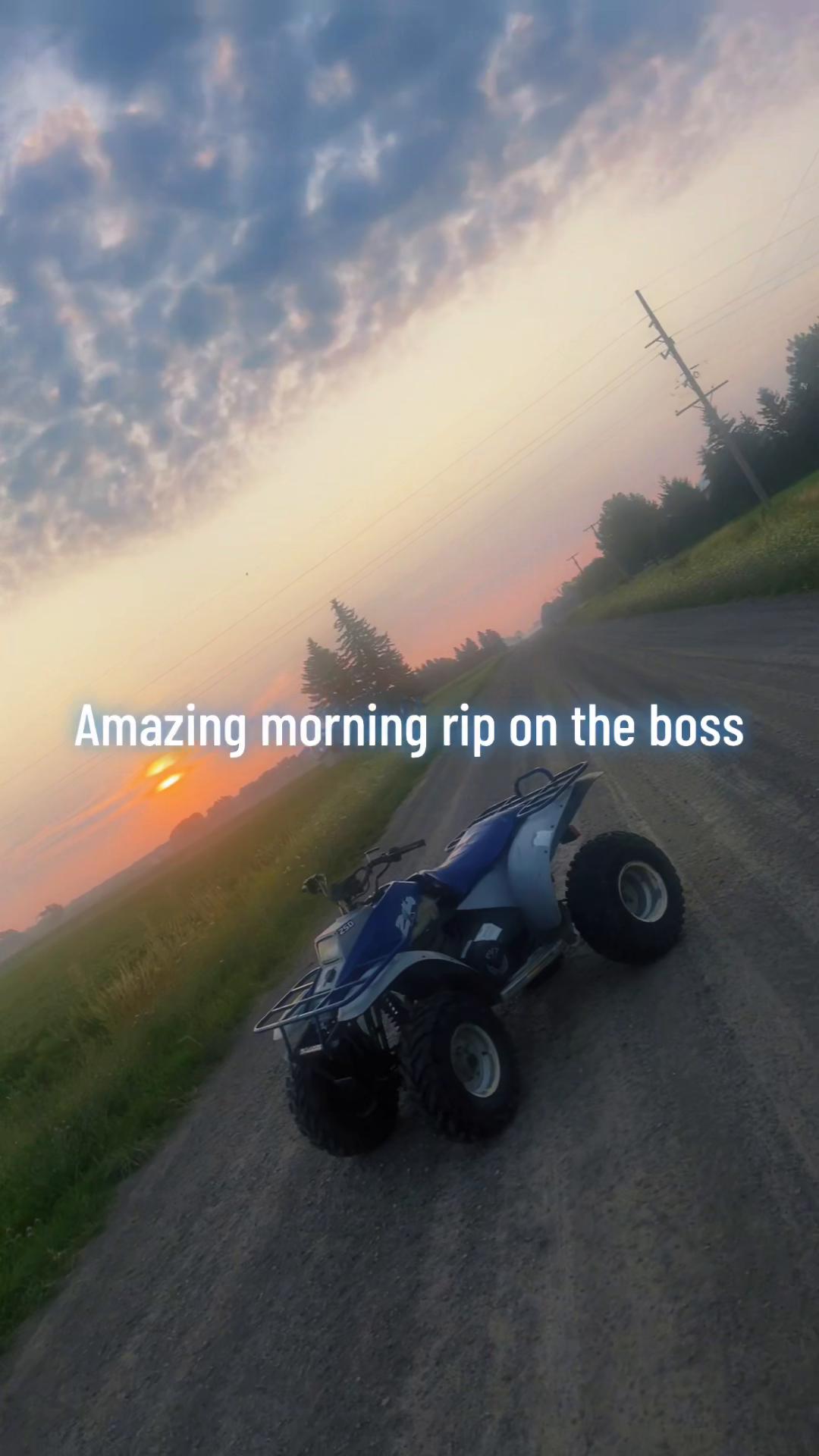 @dirtbike 300