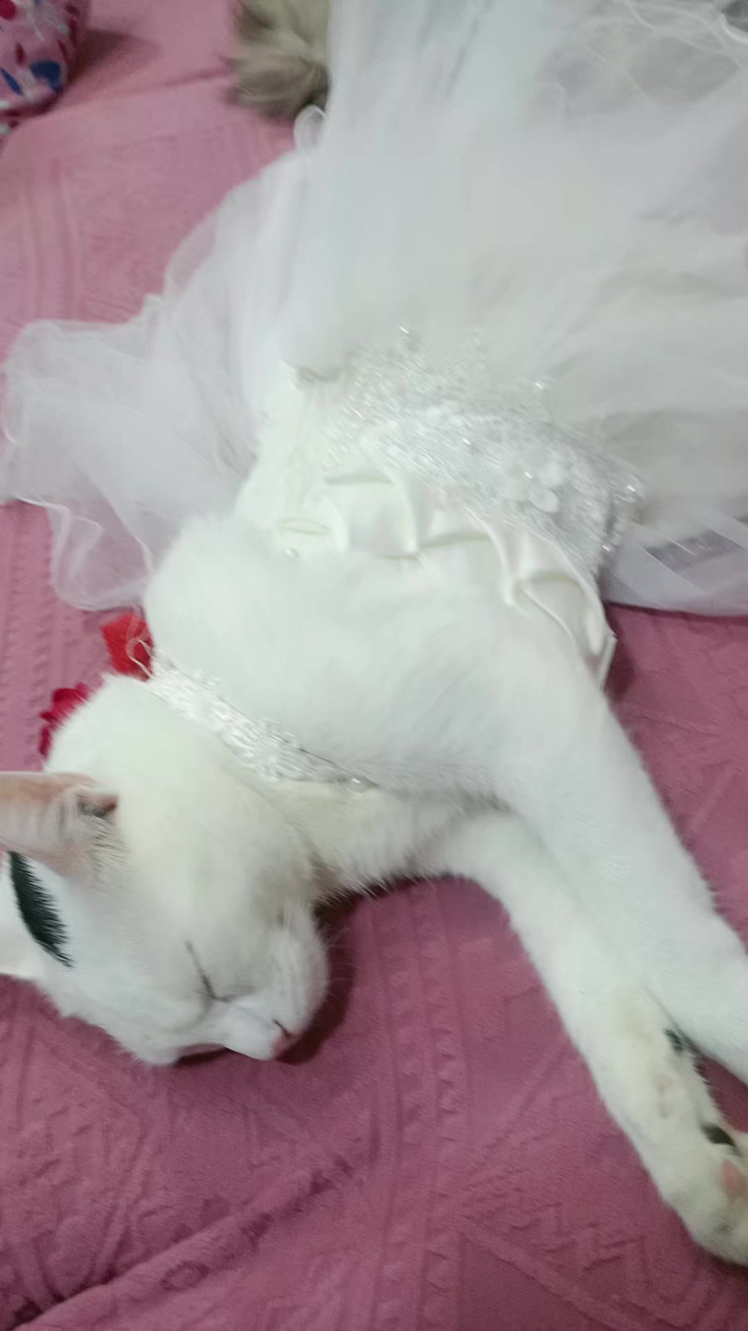 @Ghada _Al_Abyari_ غادة