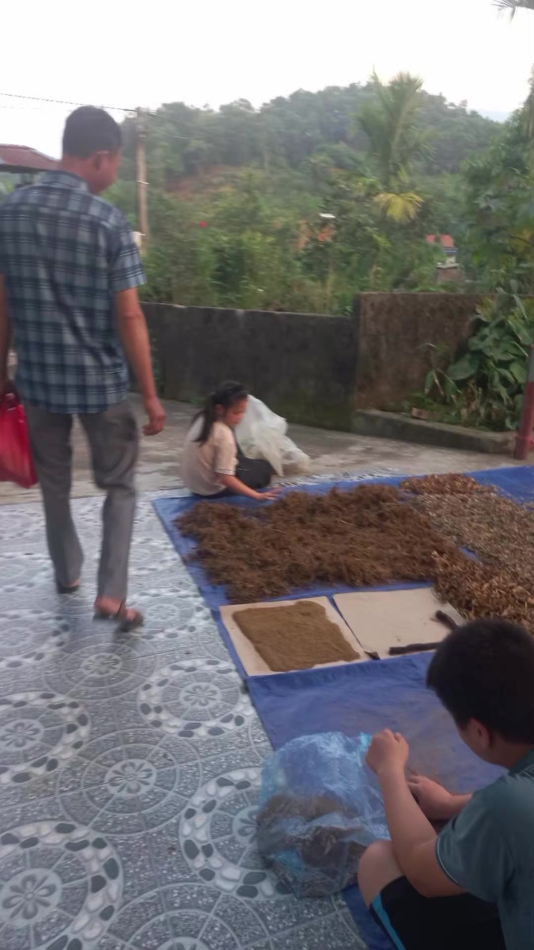 @Đông y VŨ VĂN DÂN