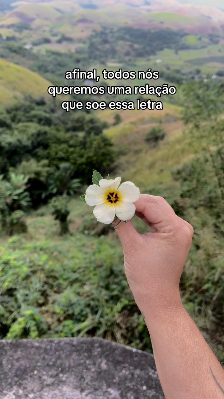 @Katiellen Maia