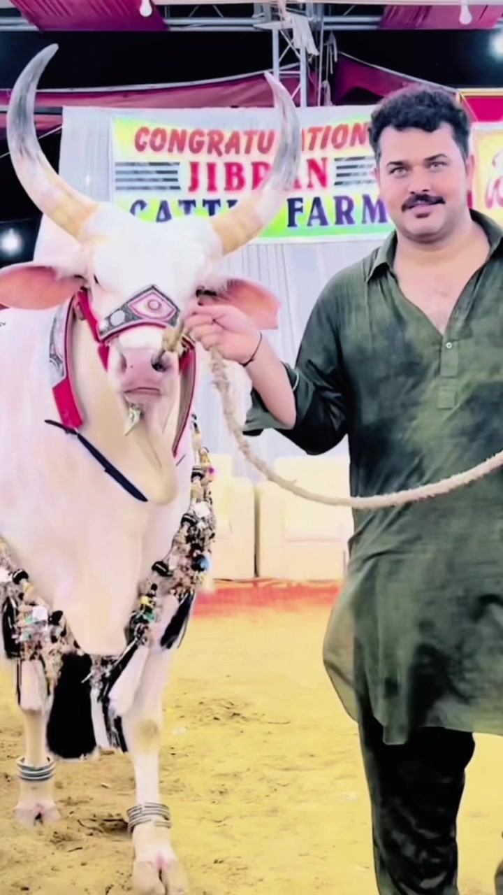 @ashiqahmed