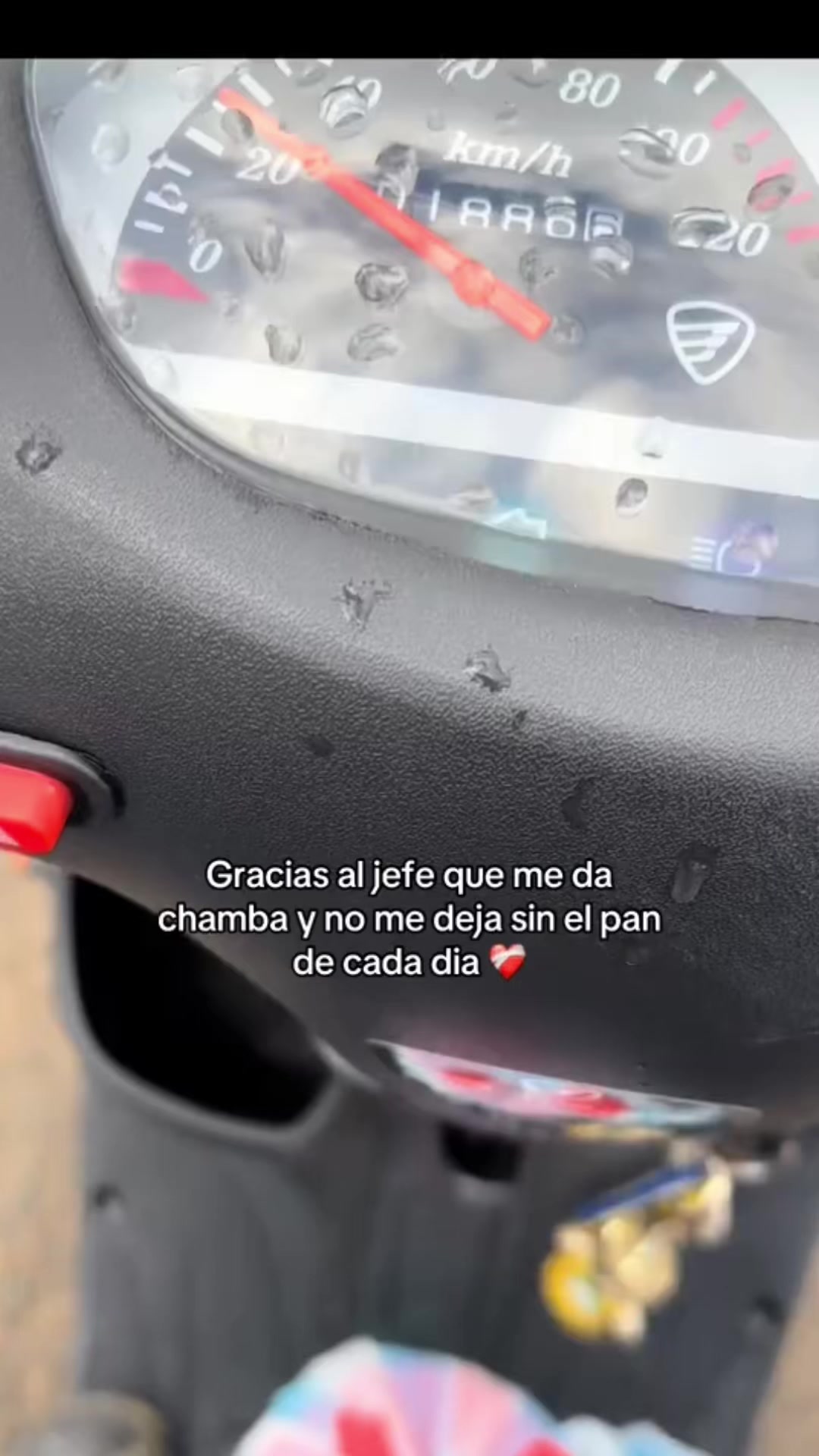 @Diana Pacheco