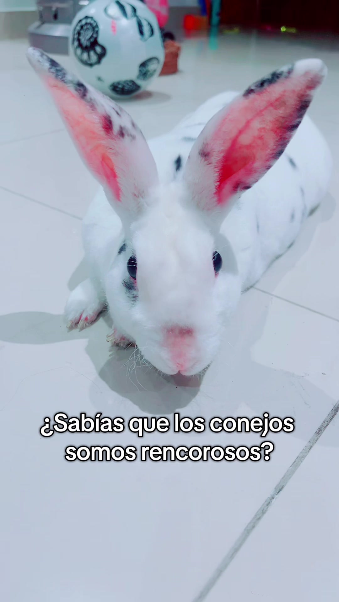 @Soy Luna