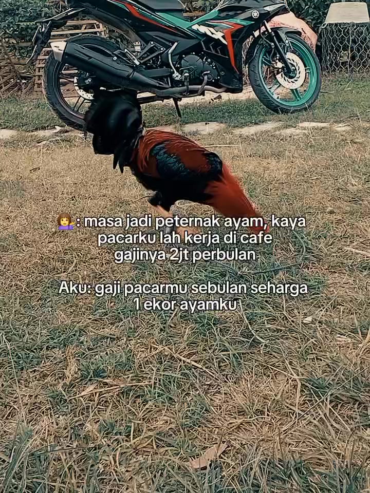 @Fandi lamatenggo