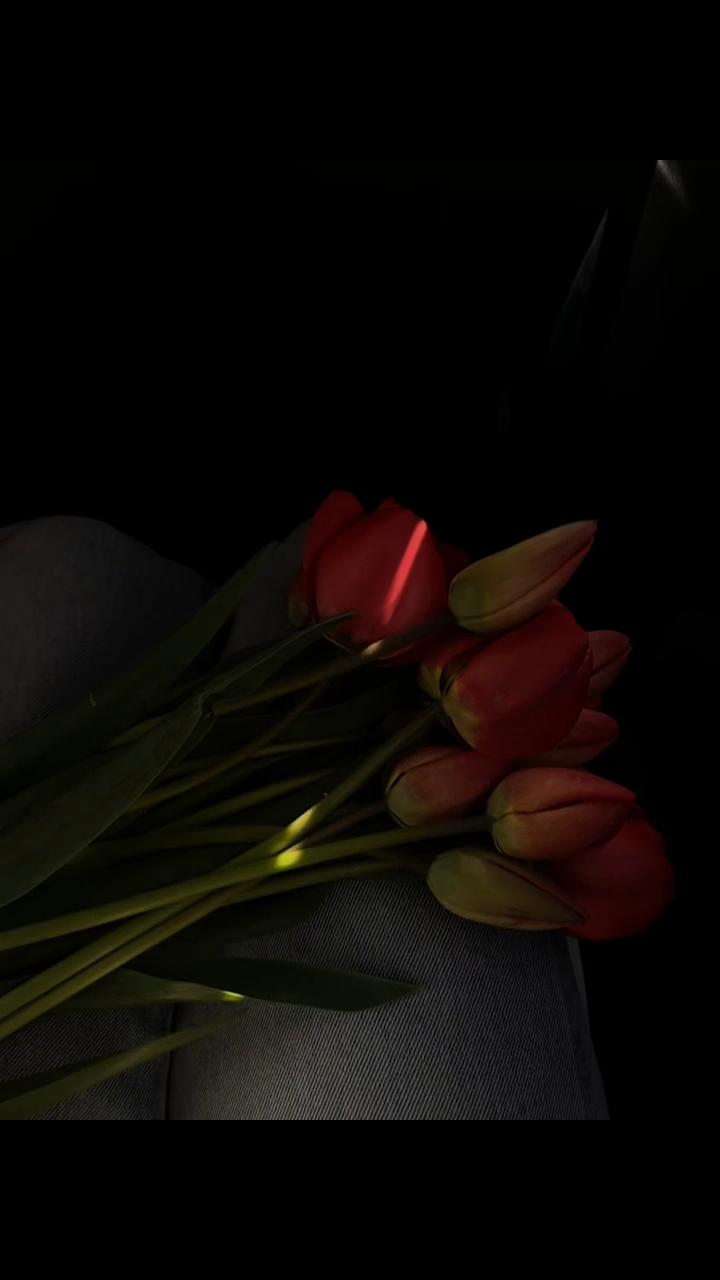 @@_0_savelieva.i_0_