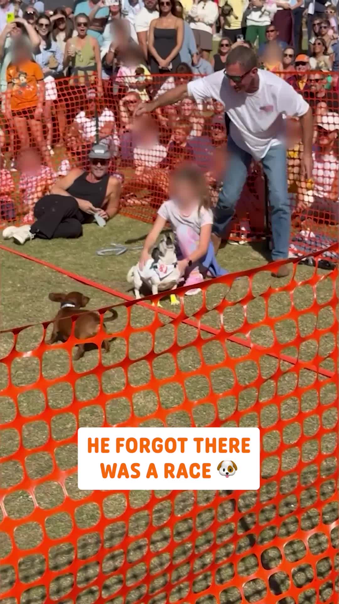 @Pawsome Pets