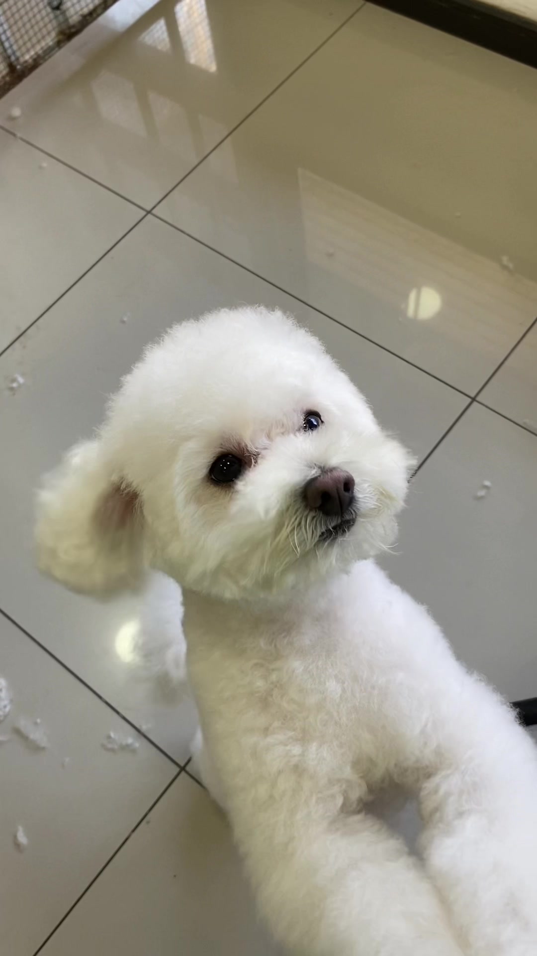 @Gran.kniche🐶
