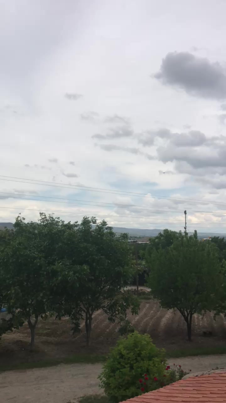 @Kayseri_Güvercin_diyarı🕊️