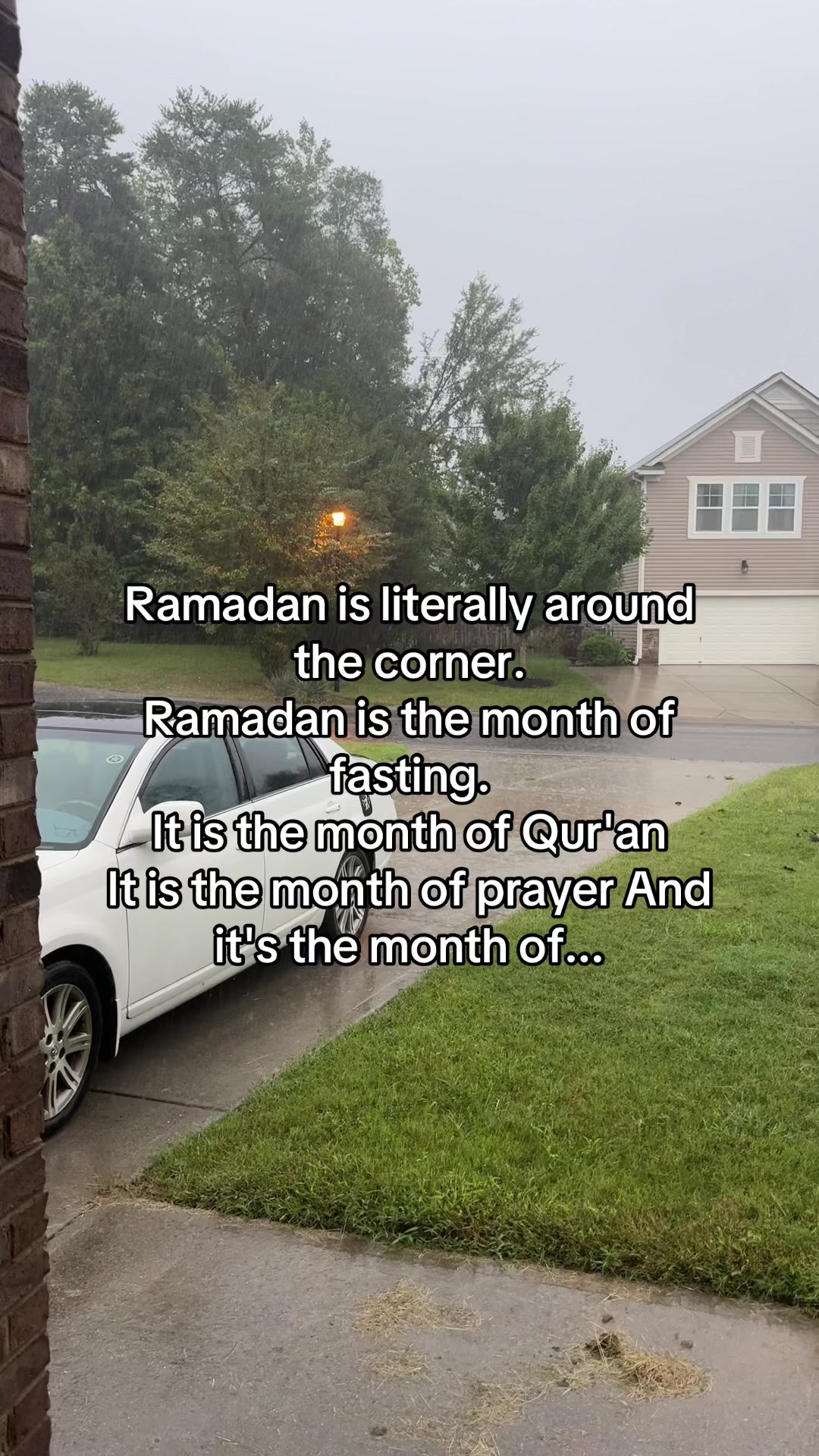 @Hamoddy