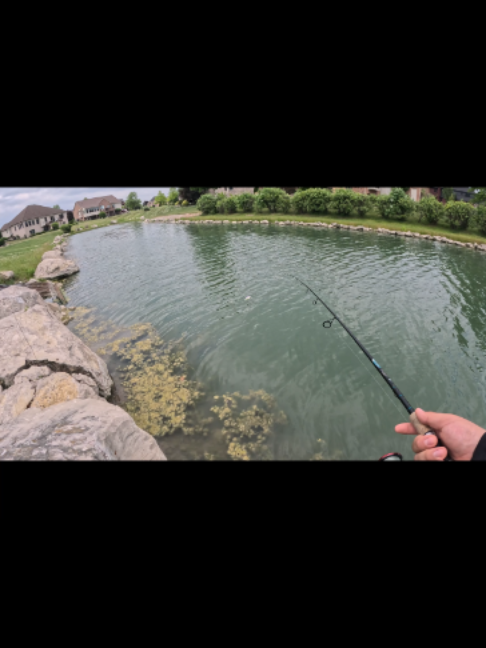 @BassMaxxers
