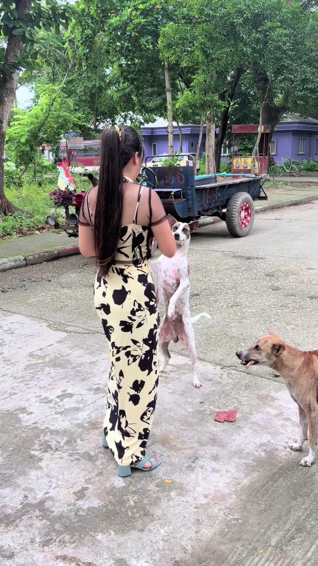 @သဲသဲပို🍎ပန်းသီးမ@happyF5(1M)