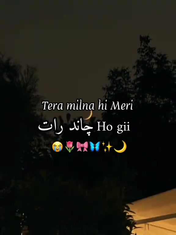 @ᥫ᭡𓆩𝑲𝒊𝒏𝒛𝒖𝒖𓆪⏤͟͟͞͞🐼⃟🌷˚₊