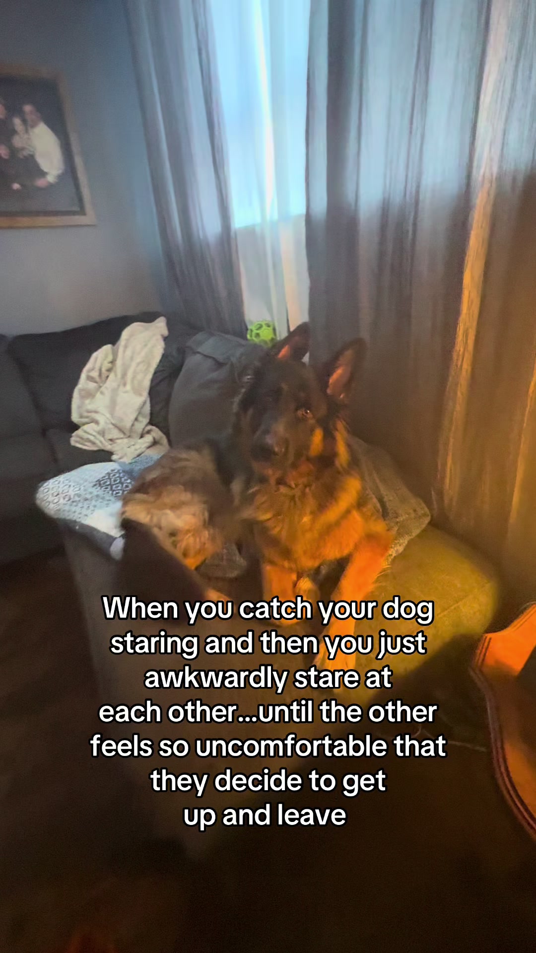 @ksdoggos