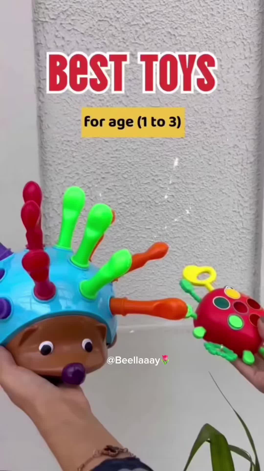 @Beellaaay𓍢ִ໋🌷͙֒ ᥫ᭡.