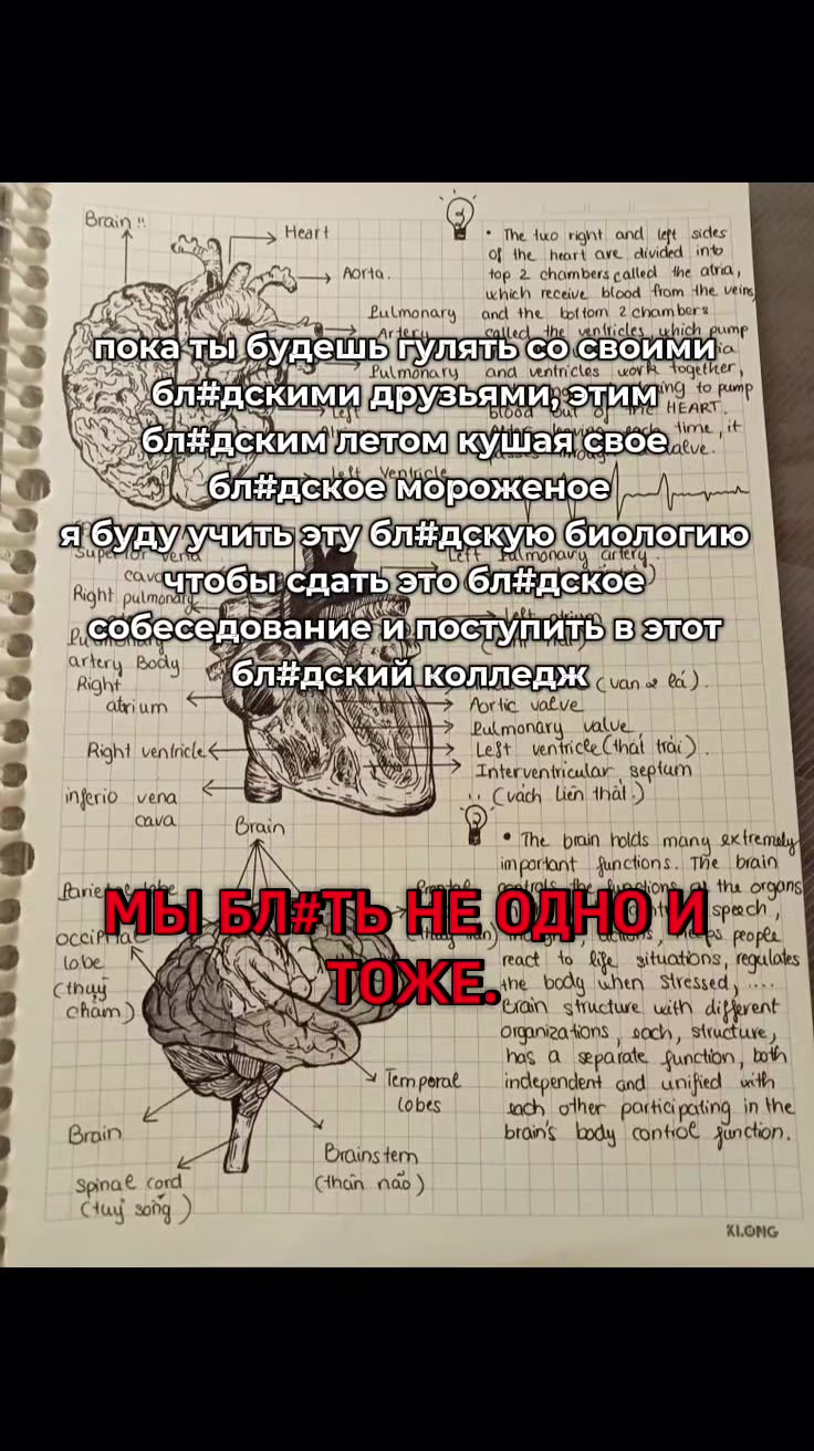 @ура кавех ода кавех